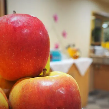 ホテル Strohofer 3*